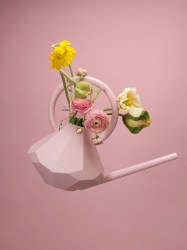 Konvice ROSE- 8 L (2/4)